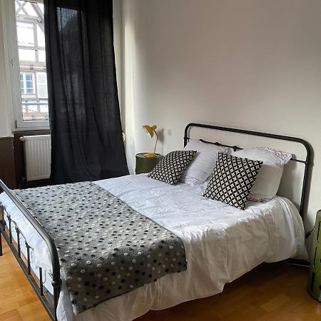 Il Piano Nobile Apartment Colmar Bagian luar foto