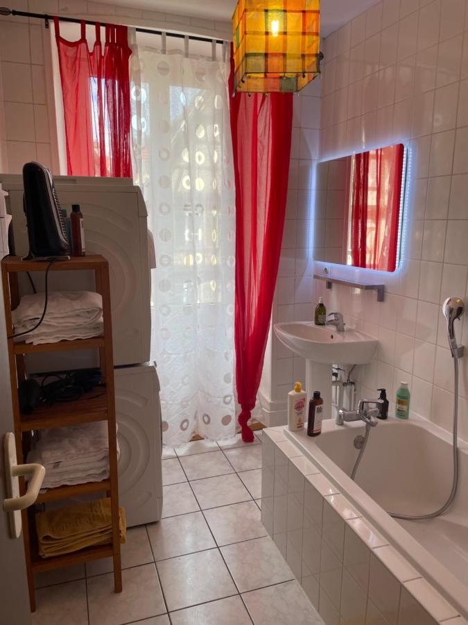 Il Piano Nobile Apartment Colmar Bagian luar foto