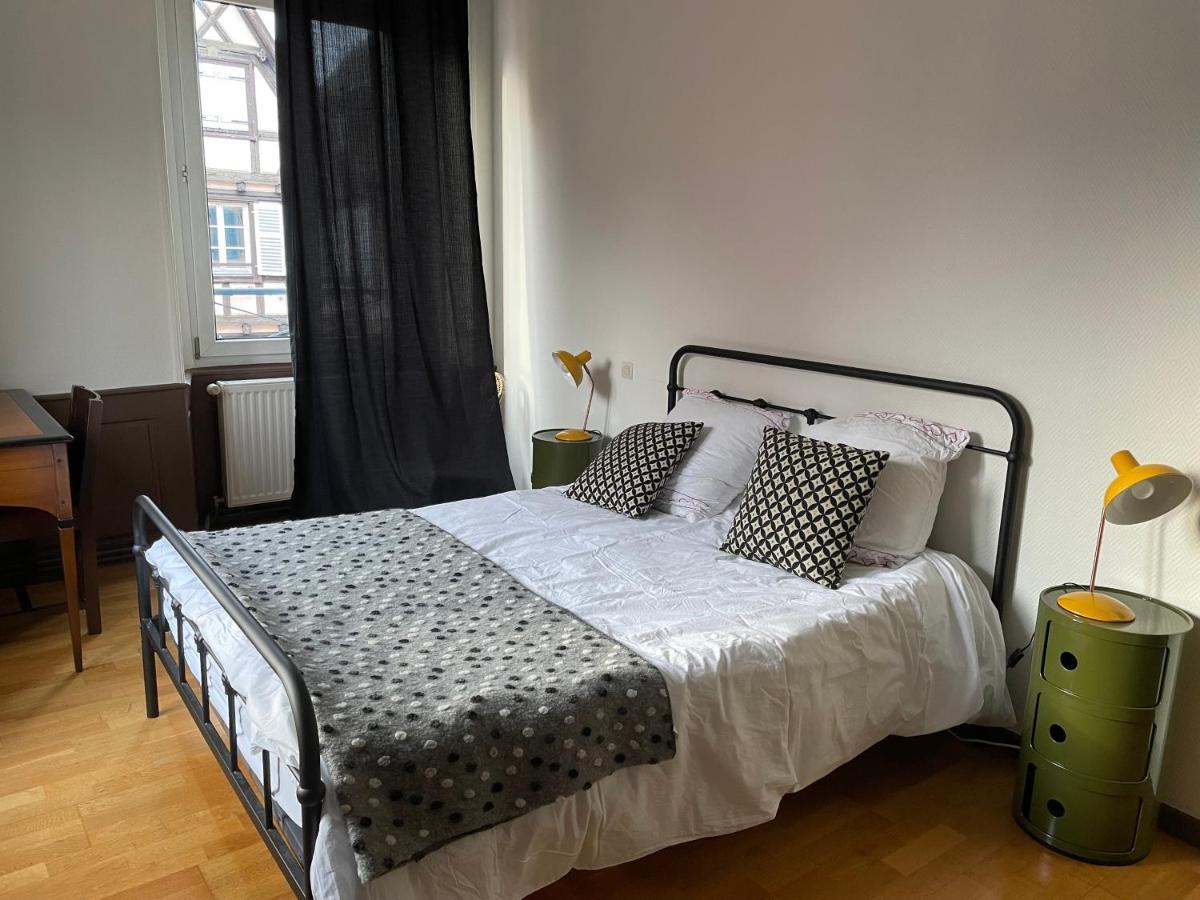 Il Piano Nobile Apartment Colmar Bagian luar foto