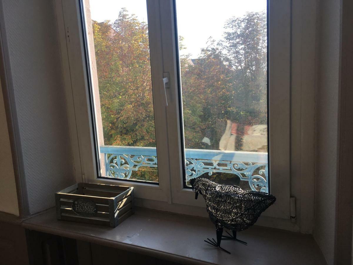 Il Piano Nobile Apartment Colmar Bagian luar foto