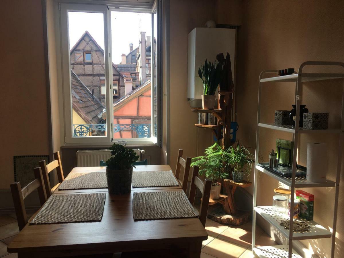 Il Piano Nobile Apartment Colmar Bagian luar foto